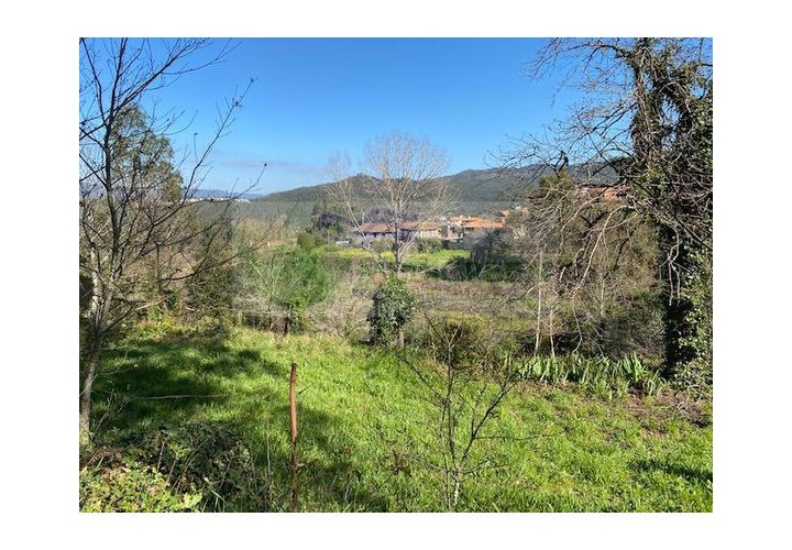 Farm i Sever do Vouga, Aveiro, Sever do Vouga - € 69.000 | Ref: FIN_407 - foto 1
