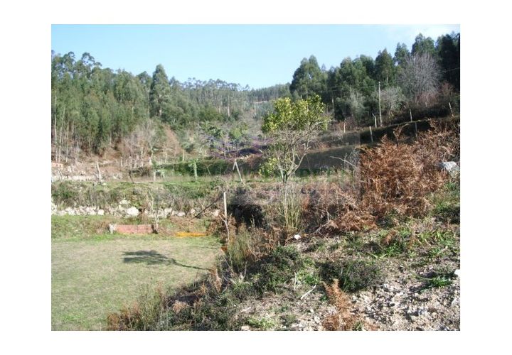 Helårsgrund i Sever do Vouga, Aveiro, Sever do Vouga - € 91.000 | Ref: TER_151 - foto 1