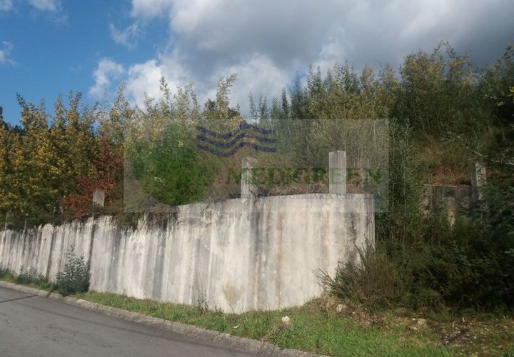 Helårsgrund i Sever do Vouga, Aveiro, Sever do Vouga - € 80.000 | Ref: TER_962 - foto 1