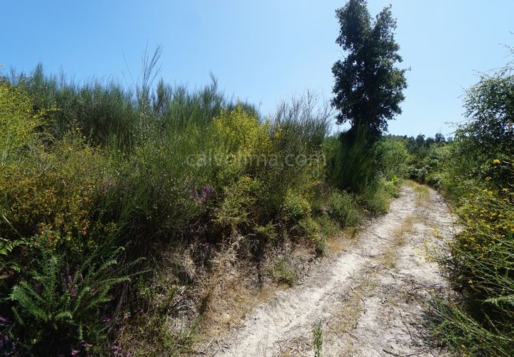 Terra a Bela, Viana do Castelo, Bela - € 8.000 | Ref: 3624 - foto 1