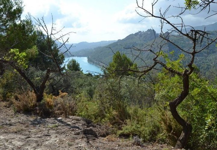 Terra a Beniarda, Alicante, Beniarda - € 24.000 | Ref: 6403 - foto 1