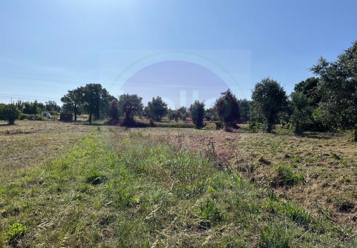 Helårsgrund i Tomar, Santarem, Tomar - € 60.000 | Ref: T 302 - foto 1