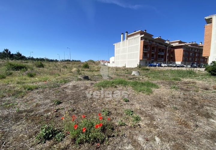 Helårsgrund i Santo Onofre e Serra do Bouro, Leiria, Santo Onofre e Serra do Bouro - € 430.000 | Ref: CAL-214711 - foto 1
