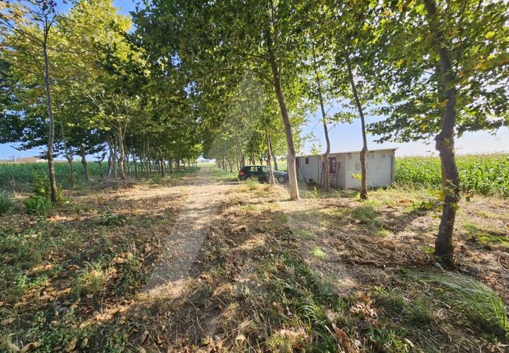 Helårsgrund i Ilhavo, Aveiro, Ilhavo - € 105.000 | Ref: 1011796/23 GL - foto 1