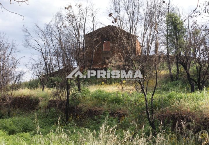 Farm i Fundao, Castelo Branco, Fundao - € 70.000 | Ref: PP4183 - foto 1