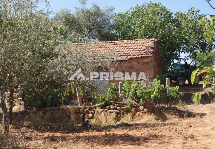 Farm i Fundao, Castelo Branco, Fundao - € 60.000 | Ref: PP4202 - foto 1