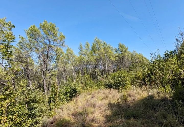Terra a Carcès, Var, Carcès - € 7.000 | Ref: 3436 - foto 1