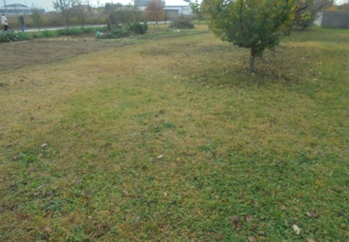 Helårsgrund i Stienta, Rovigo, Stienta - € 45.000 | Ref: SI0702 - foto 1