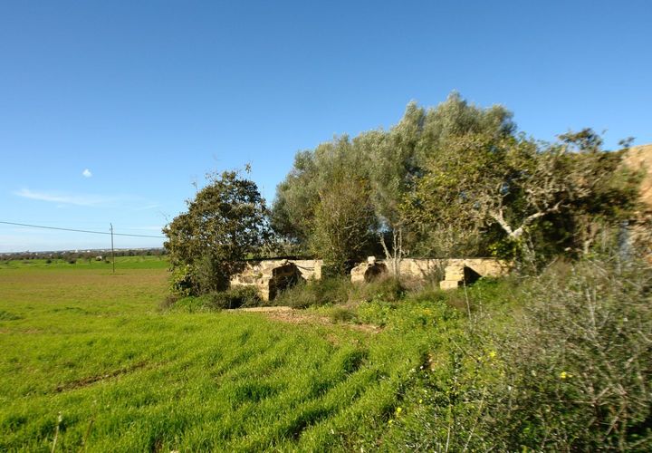 Terra a Campos, Mallorca, Campos - € 682.000 | Ref: CR0007 - foto 1