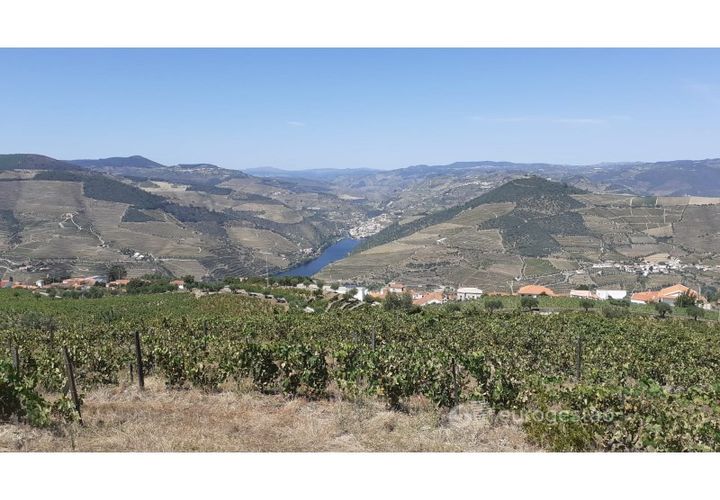 Farm i Valenca do douro, Viseu, Valenca do douro - € 330.000 | Ref: LMG_3859 - N - foto 1