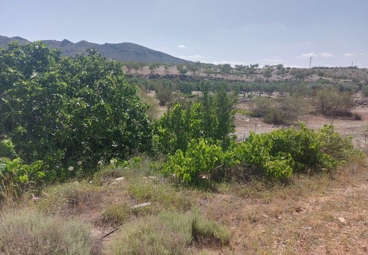 Helårsgrund i Sorbas, Almeria, Sorbas - € 60.000 | Ref: SOR358 - foto 1
