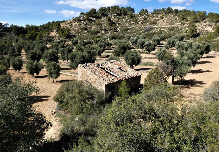 Finca i Maella, Zaragoza, Maella - € 29.000 | Ref: 0882 - foto 1