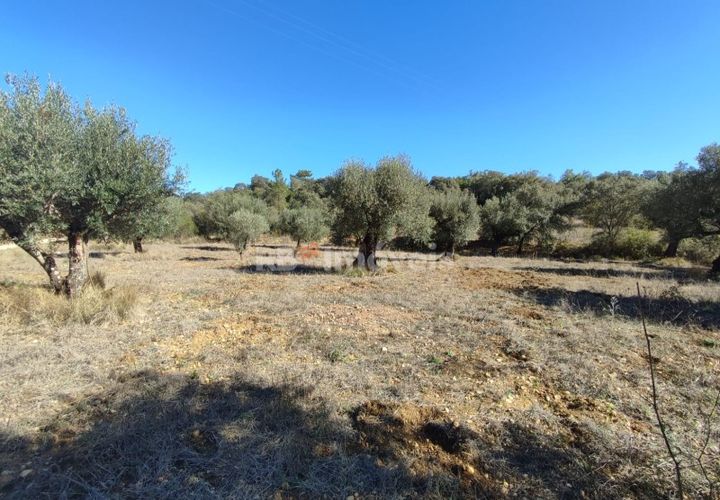 Helårsgrund i Tomar, Santarem, Tomar - € 6.000 | Ref: 01014-23 - foto 1