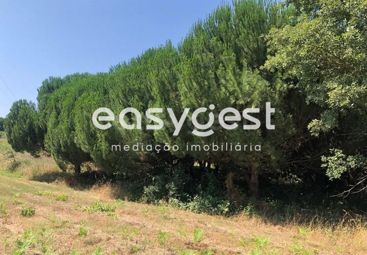 Helårsgrund i Batalha, Leiria, Batalha - € 160.000 | Ref: OR93231EW - foto 1