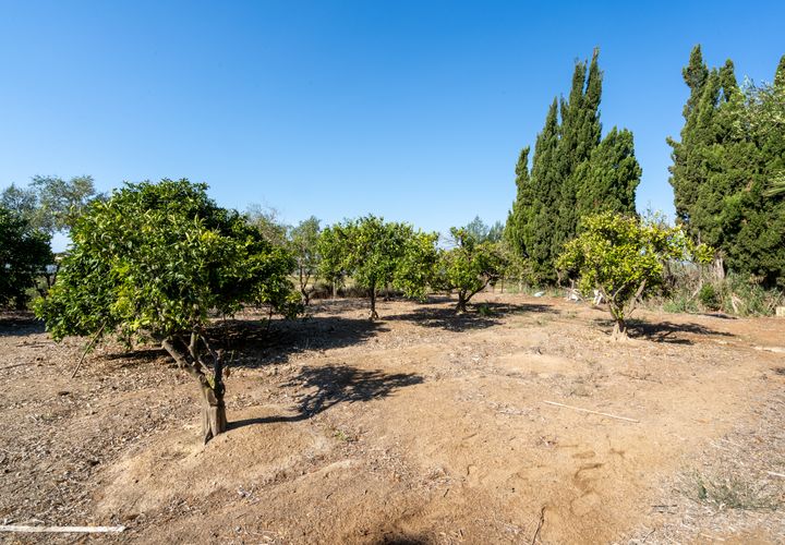 Finca i Deltebre, Tarragona, Deltebre - € 54.000 | Ref: 924 - foto 1