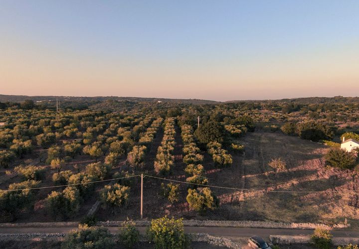 Helårsgrund i Ostuni, Brindisi, Ostuni - € 63.000 | Ref: 649 - foto 1