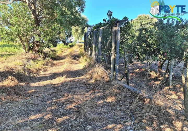 Erhvervsejendom i Cabecudo, Castelo Branco, Cabecudo - € 60.000 | Ref: AS132 - foto 1
