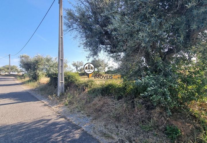 Helårsgrund i Castelo Branco, Castelo Branco, Castelo Branco - € 18.000 | Ref: 2577 - foto 1