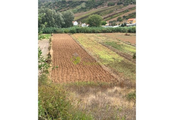 Helårsgrund i Alenquer, Lisbon, Alenquer - € 30.000 | Ref: 1604 - foto 1