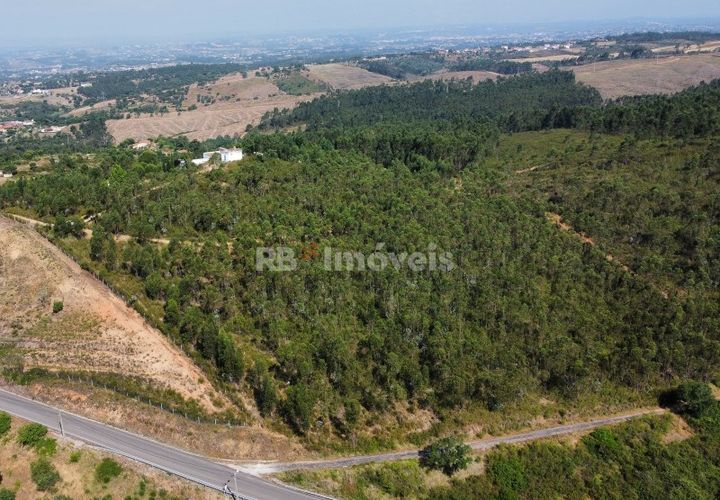 Helårsgrund i Tomar, Santarem, Tomar - € 70.000 | Ref: 01035-23 - foto 1