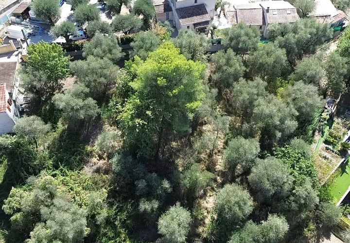 Terra a Peille, Alpes-Maritimes, Peille - € 190.000 | Ref: 793 - foto 1