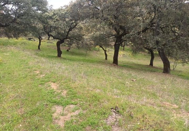 Terra a Aracena, Huelva, Aracena - € 40.000 | Ref: 3566-00641/10841 - foto 1