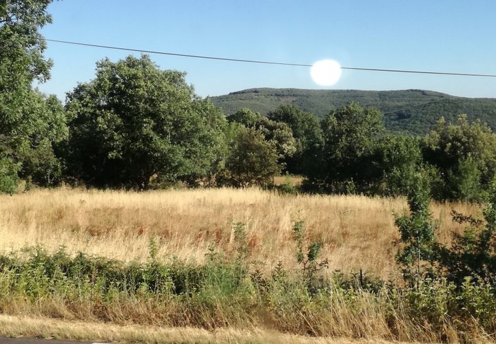 Helårsgrund i Valmascle, Herault, Valmascle - € 24.900 | Ref: 11 - foto 1