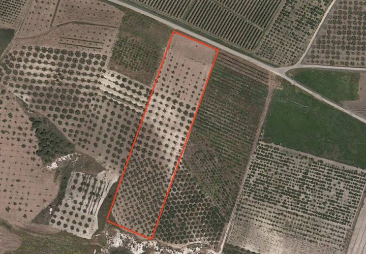 Terra a Calamonaci, Agrigento, Calamonaci - € 32.000 | Ref: T/204 - foto 1