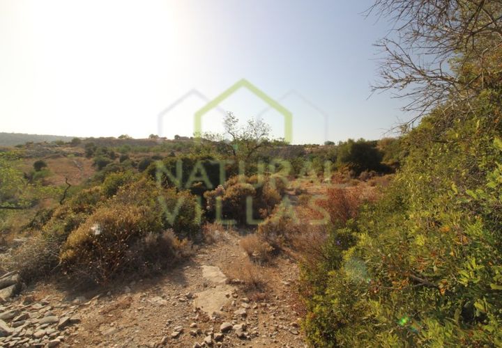 Helårsgrund i Estoi, Faro, Estoi - € 31.500 | Ref: TER_2379_VEND - foto 1