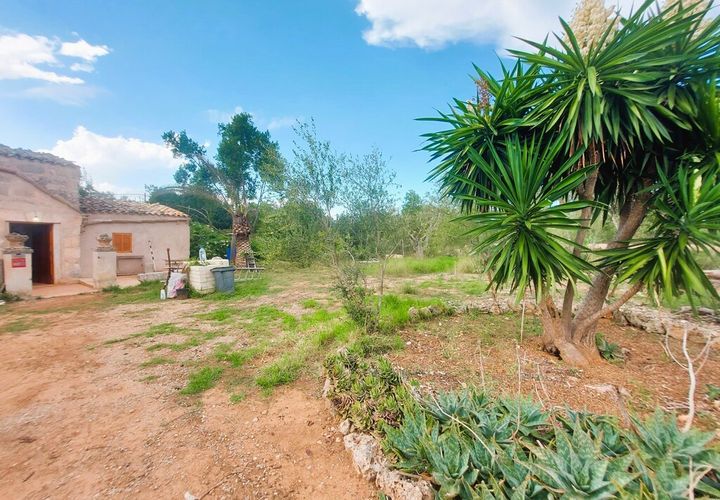Cortijo a Muro, Mallorca, Muro - € 350.000 | Ref: C-C380 - foto 1