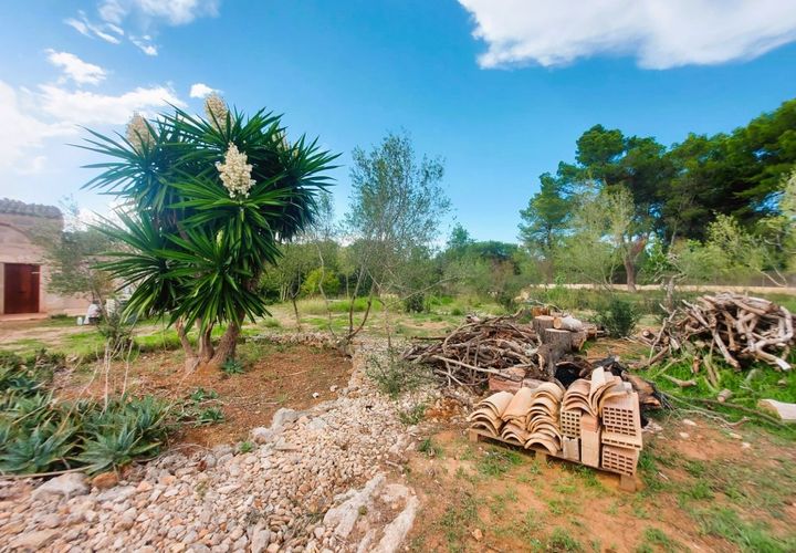 Cortijo i Muro, Mallorca, Muro - € 350.000 | Ref: C-C380 - foto 1