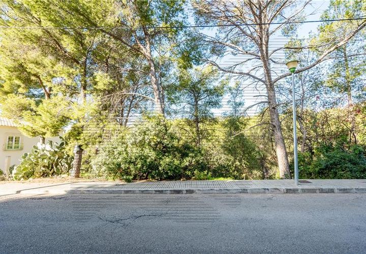 Terra a Calvia, Mallorca, Calvia - € 500.000 | Ref: 40333 - foto 1