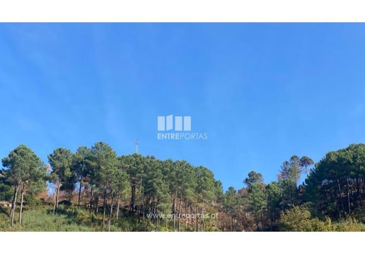 Helårsgrund i Cinfaes, Viseu, Cinfaes - € 29.000 | Ref: MC09585 - foto 1