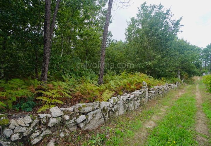 Helårsgrund i Moncao, Viana do Castelo, Moncao - € 60.000 | Ref: 4041 - foto 1