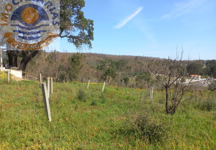 Helårsgrund i Ourem, Santarem, Ourem - € 35.000 | Ref: 2023071 - foto 1