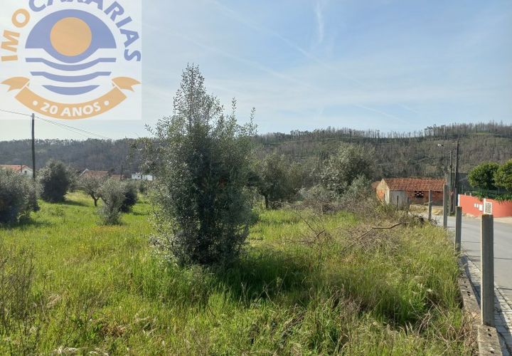 Helårsgrund i Ourem, Santarem, Ourem - € 40.000 | Ref: 2023070 - foto 1