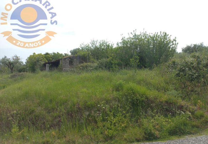 Terra a Gondemaria e Olival, Santarem, Gondemaria e Olival - € 15.000 | Ref: 2022031 - foto 1