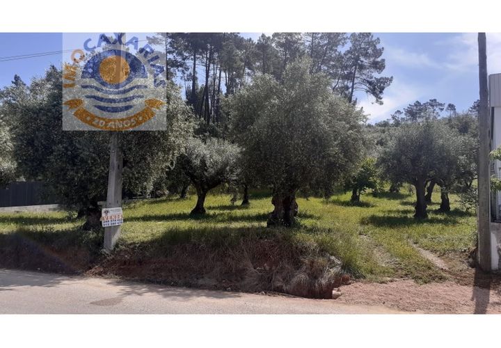 Terra a Freixianda, Santarem, Freixianda - € 29.000 | Ref: 2021027 - foto 1