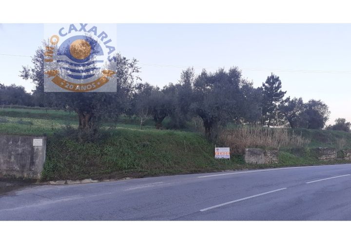 Helårsgrund i Ourem, Santarem, Ourem - € 25.000 | Ref: 300582 A - foto 1