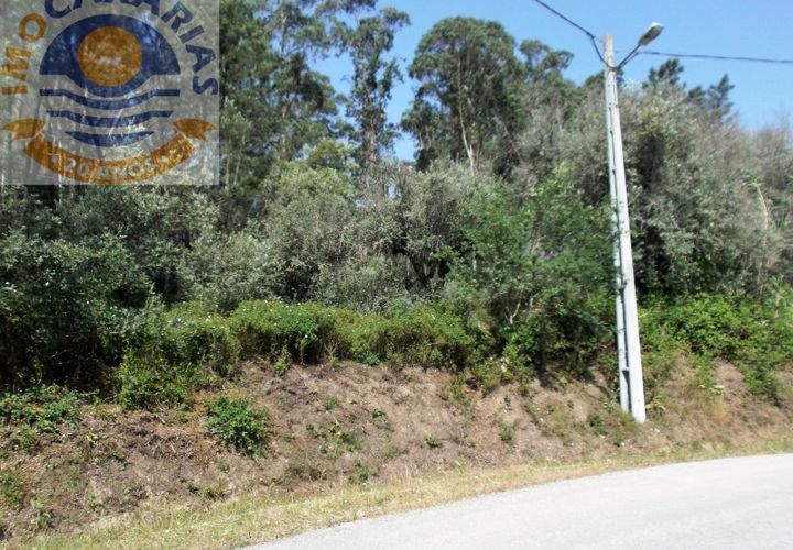 Helårsgrund i Ourem, Santarem, Ourem - € 9.000 | Ref: 2017041 - foto 1