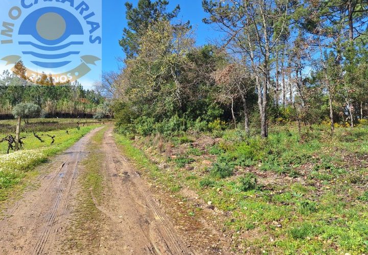 Helårsgrund i Ourem, Santarem, Ourem - € 6.000 | Ref: 2017061 - foto 1