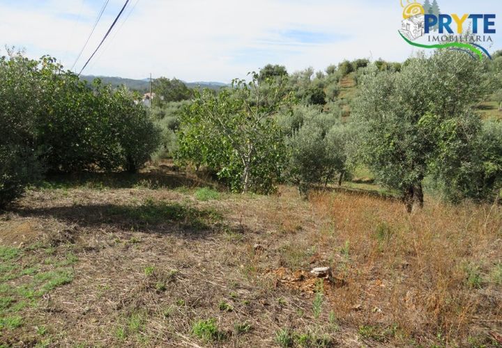 Grond in Serta, Castelo Branco, Serta - € 12.500 | Ref: VF272 - foto 1