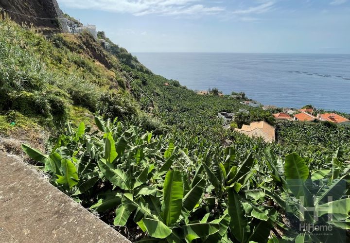 Helårsgrund i Arco da Calheta, Madeira, Arco da Calheta - € 550.000 | Ref: HH_1875MD23 - foto 1