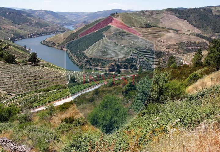 Farm i Tabuaco, Viseu, Tabuaco - € 850.000 | Ref: 2041/V - foto 1