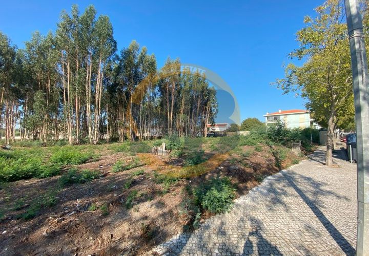 Helårsgrund i Ovar, Aveiro, Ovar - € 765.000 | Ref: T/0801 - foto 1