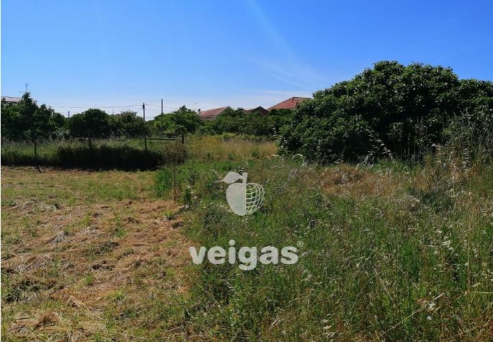 Helårsgrund i Parceiros e Azoia, Leiria, Parceiros e Azoia - € 60.000 | Ref: LIZ-214929 - foto 1