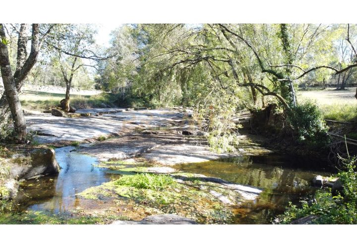 Farm i Vila Real, Vila Real, Vila Real - € 154.000 | Ref: MAS_78 - foto 1