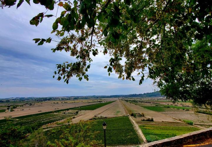 Terra a Montady, Herault, Montady - € 78.000 | Ref: 34B-COURTADE - foto 1