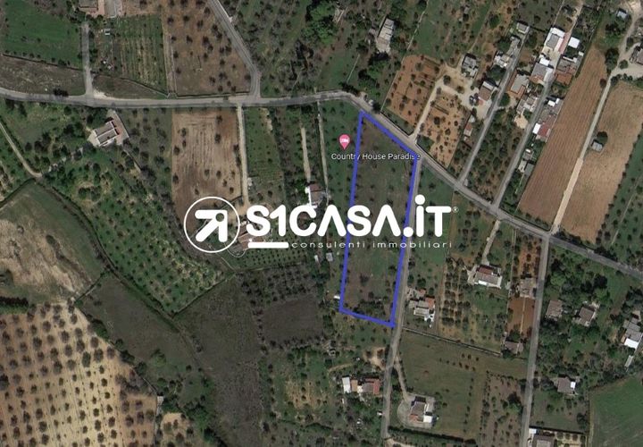 Terra a Galatone, Lecce, Galatone - € 35.000 | Ref: TOR-1283 - foto 1