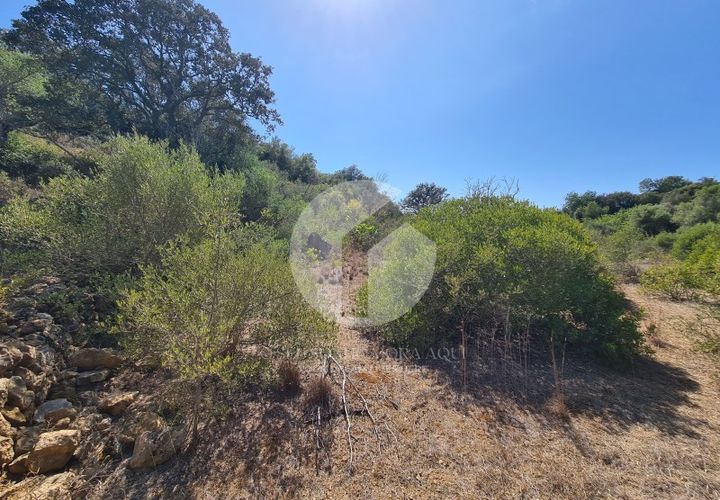 Helårsgrund i Moncarapacho, Faro, Moncarapacho - € 39.000 | Ref: 360P-1335 - foto 1
